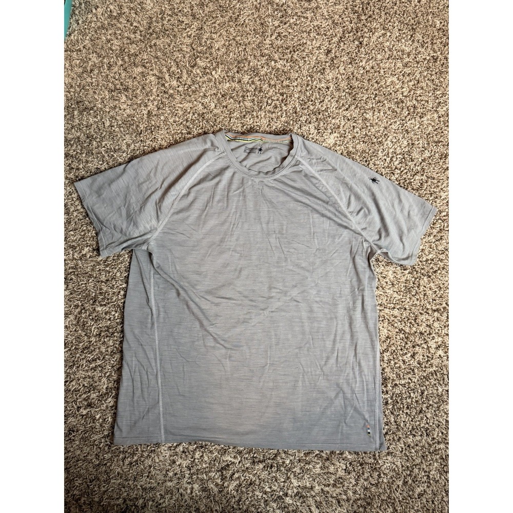 Smartwool Merino 150 Micro Stripe Tee, Men's XLarge Grey